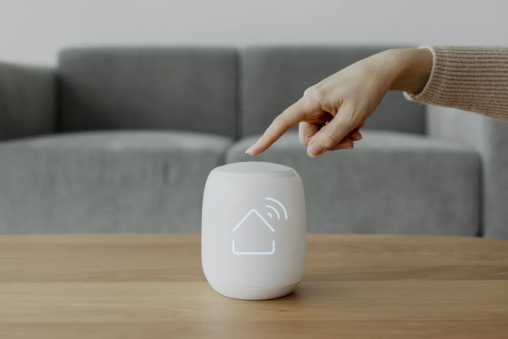 Voice-Controlled Devices in globe realty villa